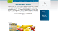 Desktop Screenshot of clinicaminerva.com